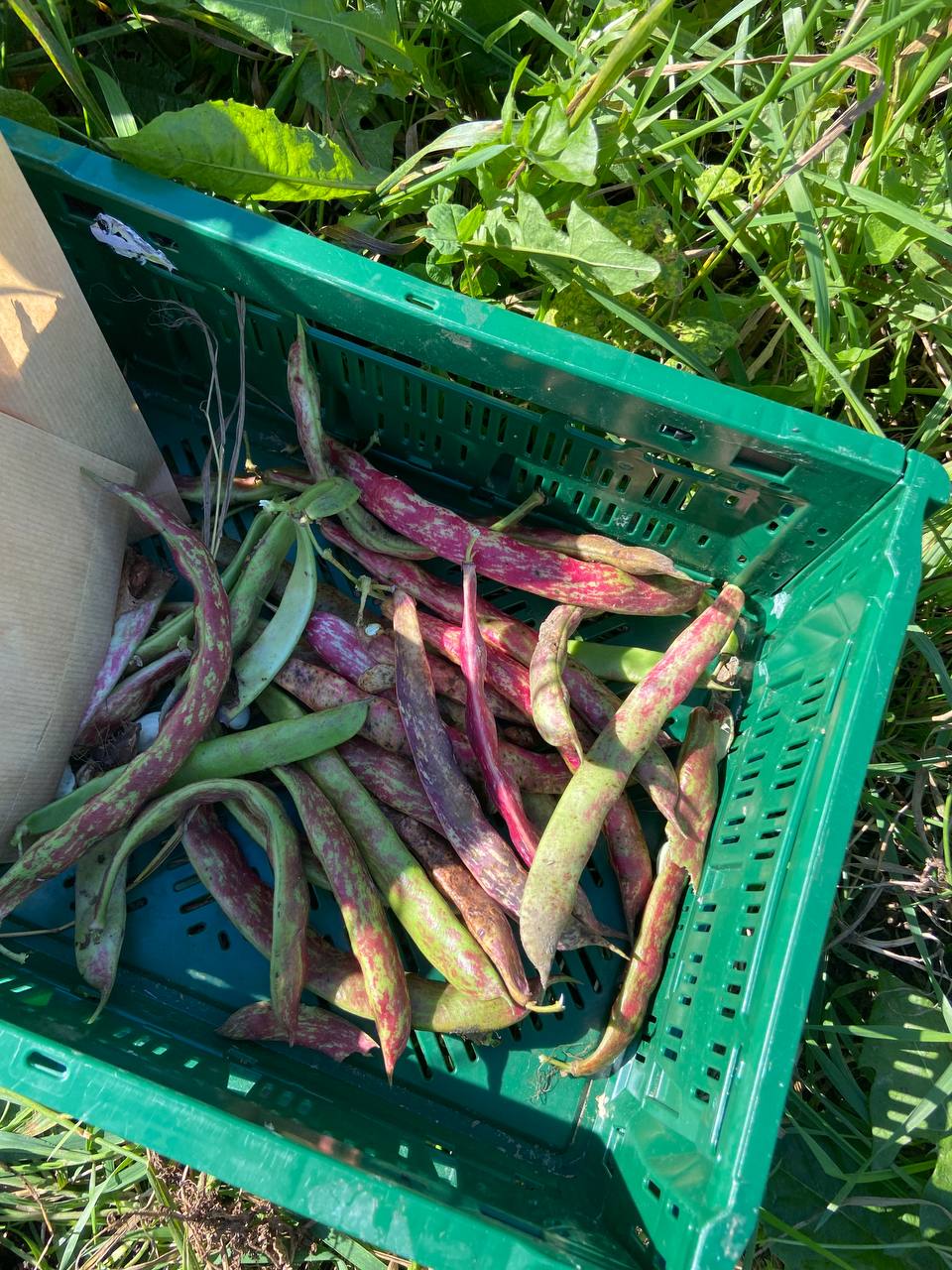 IMG_9583_2.JPG